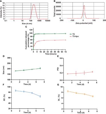 3,5,3′-Triiodothyronine–Loaded Liposomes Inhibit Hepatocarcinogenesis Via Inflammation-Associated Macrophages